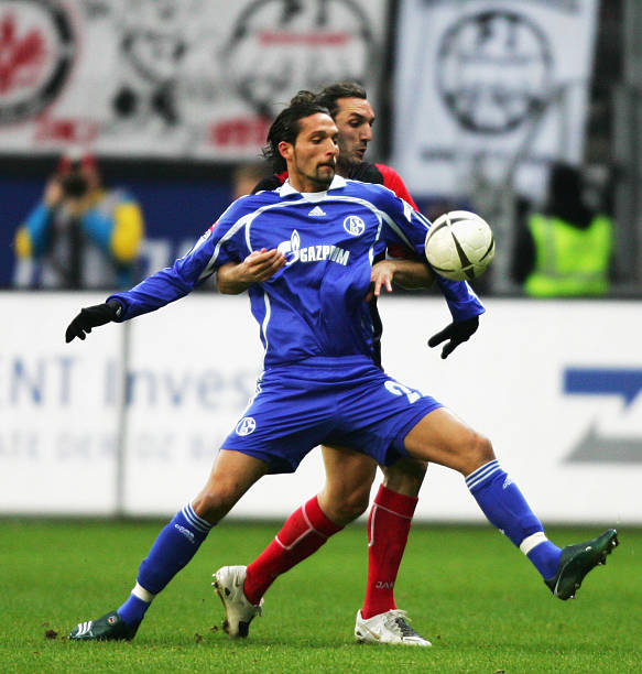 断完善的背 断完善的背